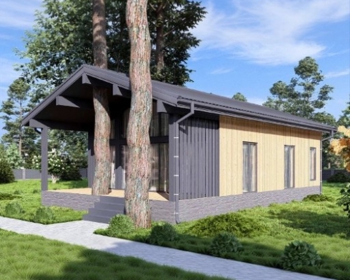 Фото Одноэтажные дома NEXT-103/1